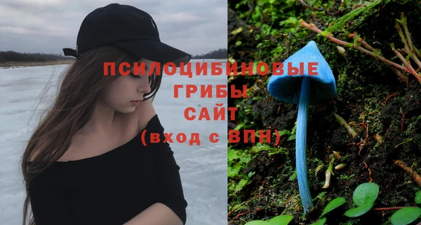 бутират Аркадак
