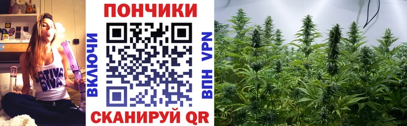 Бошки марихуана White Widow  наркотики  Спасск-Дальний 